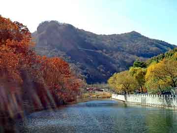 新澳门二四六天天彩，梅山牌减肥神茶